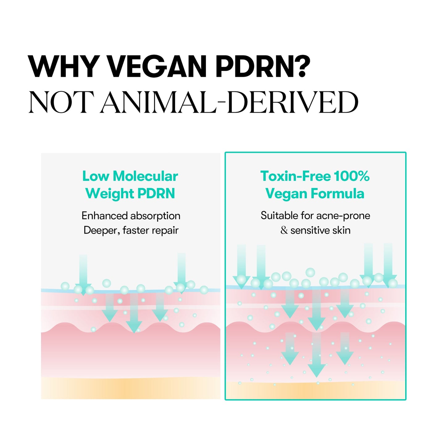 PDRN Capsule Cream 100