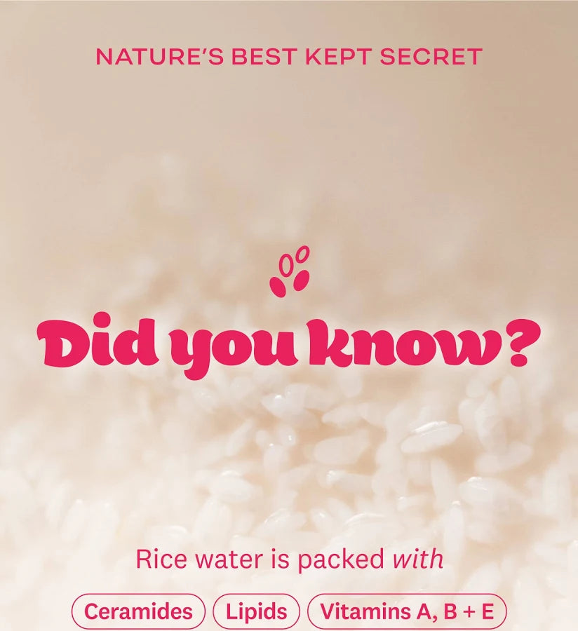 Rice Water Bright Cleansing Wipes