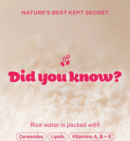 Rice Water Bright Cleansing Wipes